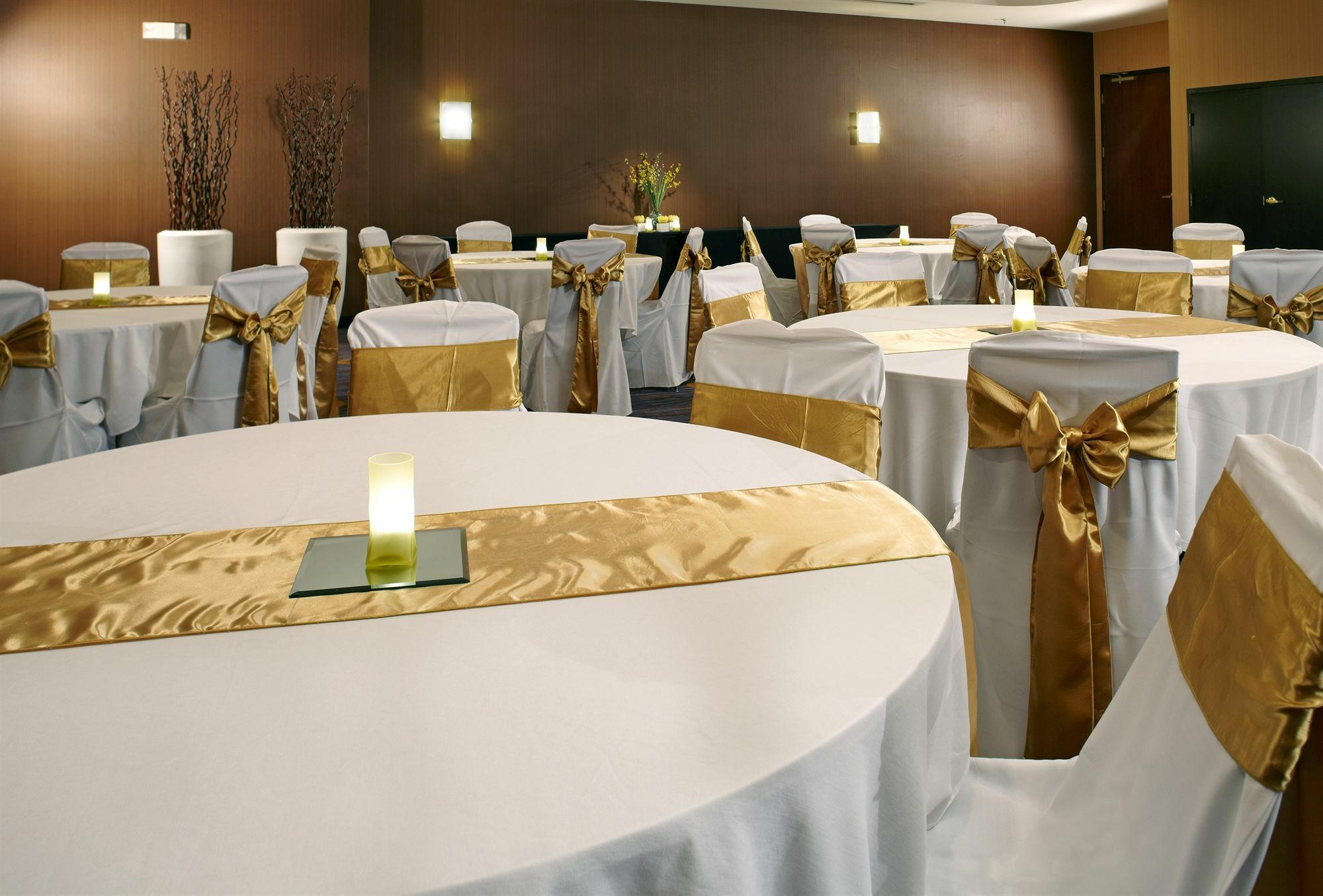 Courtyard Tampa Oldsmar Hotel Екстериор снимка