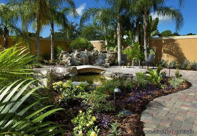 Courtyard Tampa Oldsmar Hotel Екстериор снимка