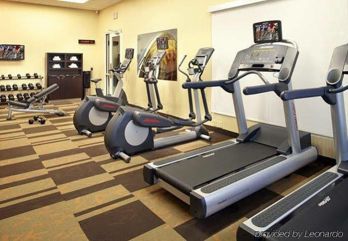 Courtyard Tampa Oldsmar Hotel Екстериор снимка